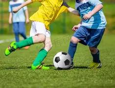 马龙男单八,强在望,王曼昱王艺,宝威体育官网,宝威体育平台,宝威体育链接,宝威体育官方