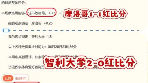 宝威体育 175648 06